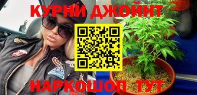 индика Аргун