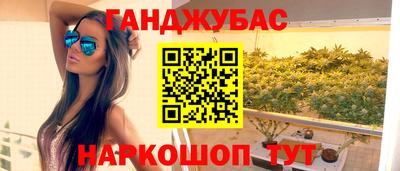 индика Аргун