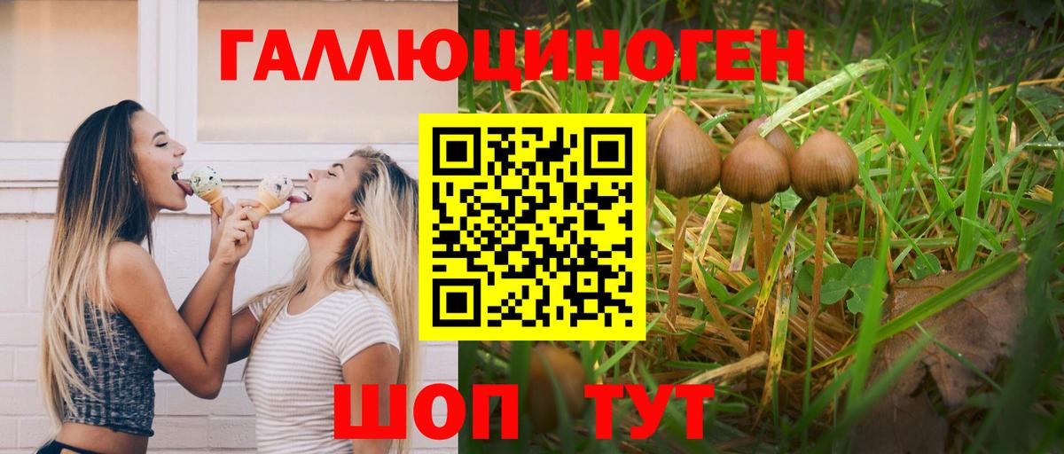 Ахтубинск  Галлюциногенные грибы Psilocybe  купить наркотик  Вход с VPN 